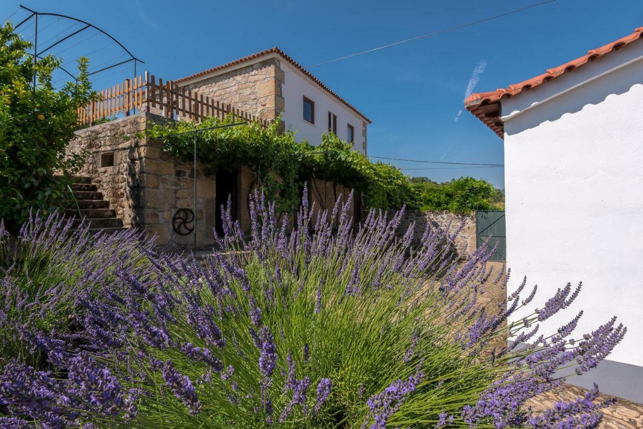 Quinta Do Acipreste Lamego Dış mekan fotoğraf