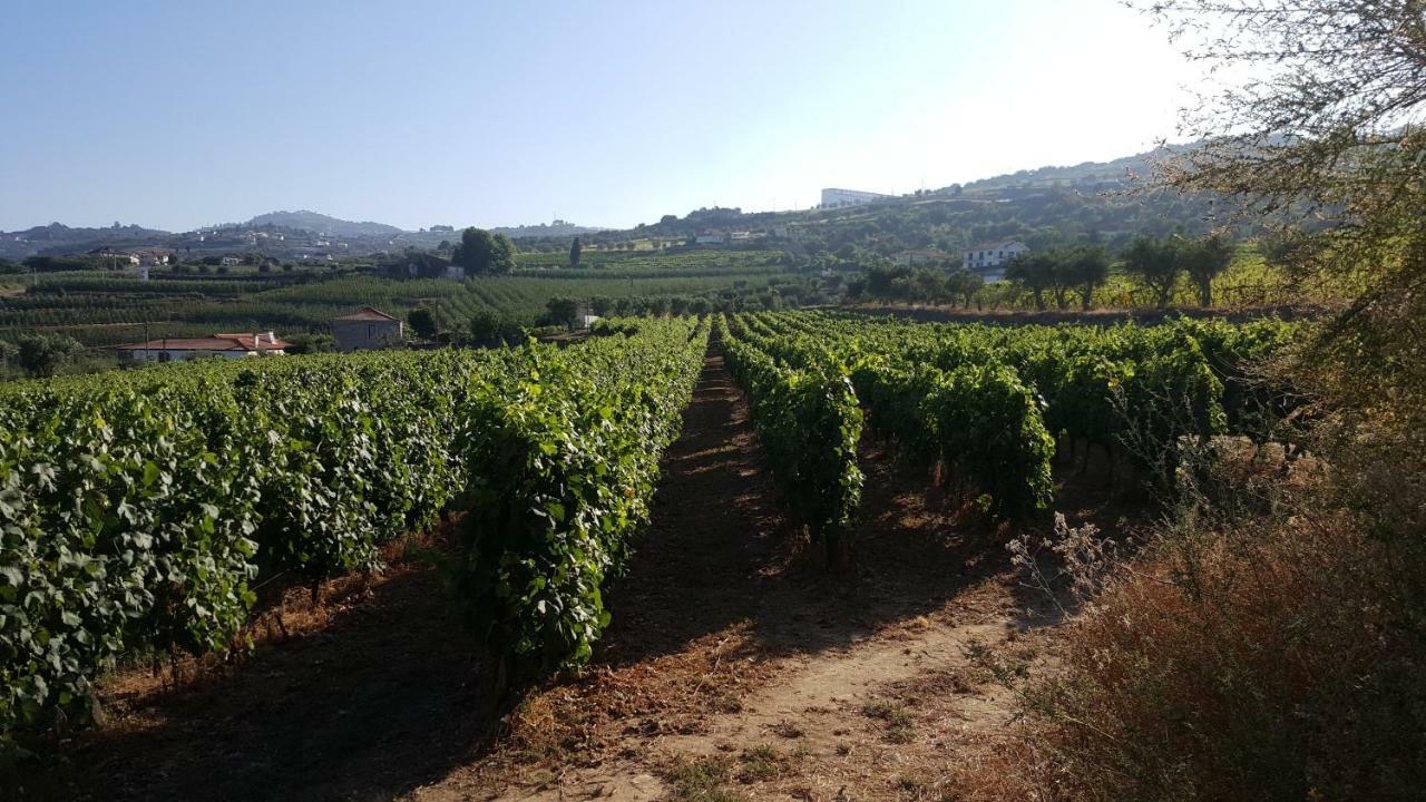 Quinta Do Acipreste Lamego Dış mekan fotoğraf