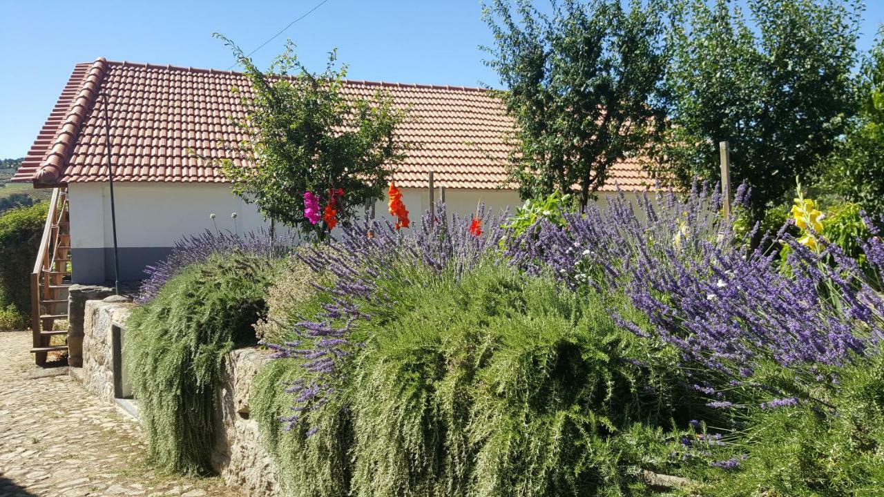 Quinta Do Acipreste Lamego Dış mekan fotoğraf