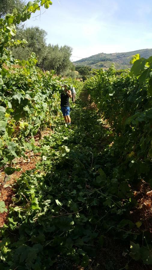 Quinta Do Acipreste Lamego Dış mekan fotoğraf