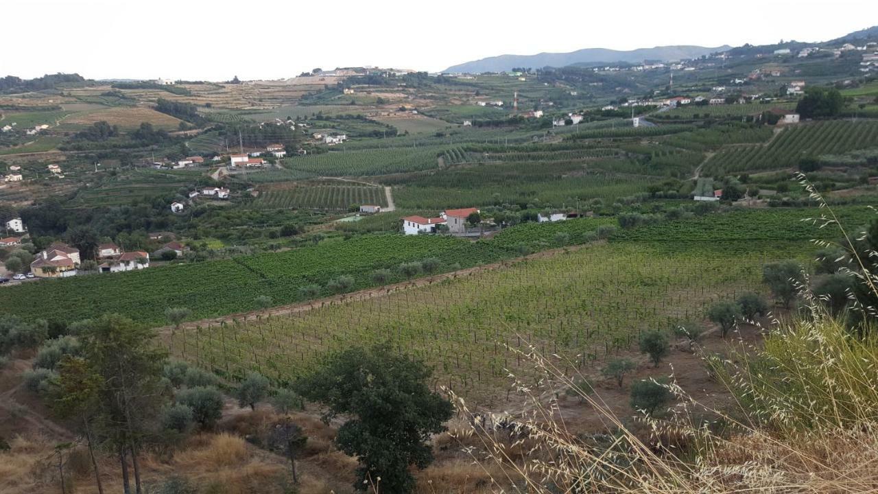Quinta Do Acipreste Lamego Dış mekan fotoğraf